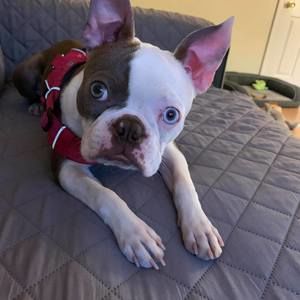 Meet your Posher, Maritza